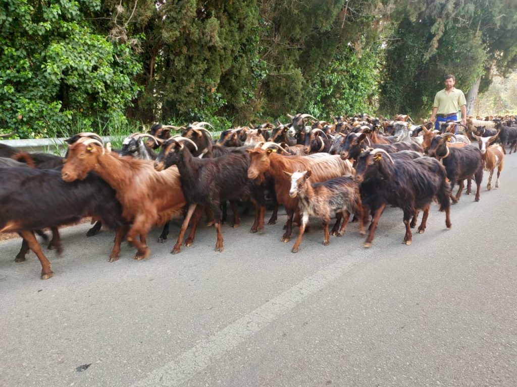 07212984-0dba-4485-9fcd-a9d7b748aa9a