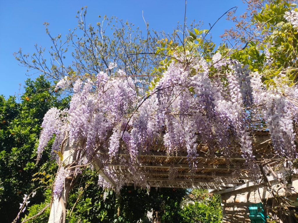 46d77e64-3be5-407a-a174-b3f12d4fa38d