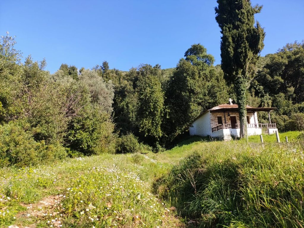 e7f910c8-d29f-4a6d-a063-2c6c3ef9f4a1